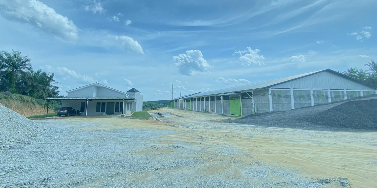 Pemanfaatan
